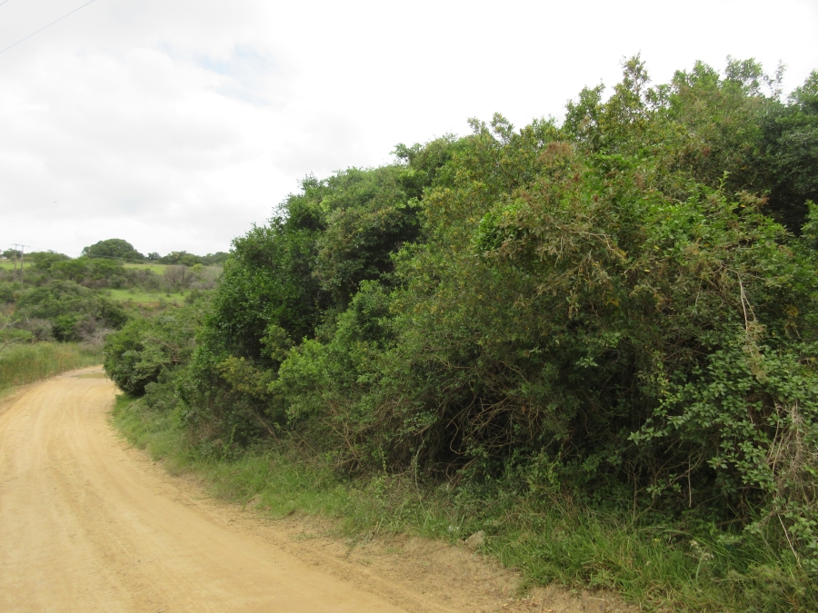 0 Bedroom Property for Sale in Bathurst Eastern Cape
